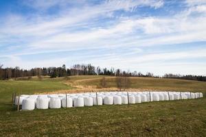 primavera paesaggi con nuvole foto