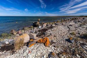 primavera paesaggi su il isola di hiiumaa foto