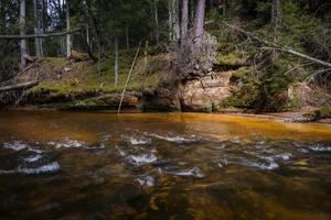 piccolo foresta fiume nel presto primavera foto