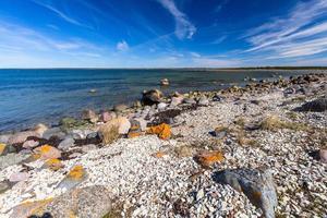 primavera paesaggi su il isola di hiiumaa foto