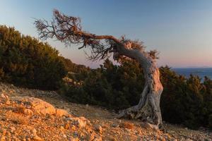 paesaggi a partire dal micro cicladi, Grecia foto