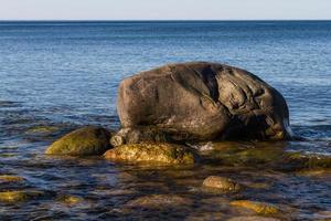 primavera paesaggi su il isola di hiiumaa foto