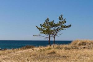 primavera visualizzazioni a partire dal hiiumaa isola foto