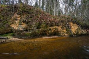 piccolo foresta fiume nel presto primavera foto