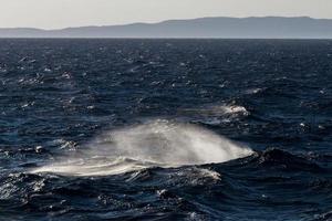 onde nel il mediterraneo mare foto