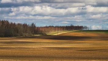 primavera paesaggi con nuvole foto