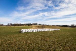 primavera paesaggi con nuvole foto