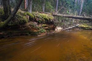 piccolo foresta fiume nel presto primavera foto