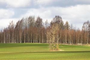 primavera paesaggi con nuvole foto