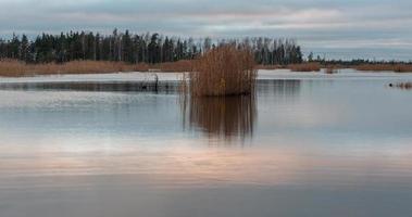 autunno giorno a il palude lago foto