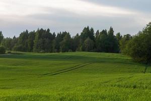 paesaggi a partire dal il lettone campagna nel primavera foto