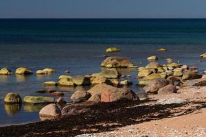 primavera visualizzazioni a partire dal hiiumaa isola foto