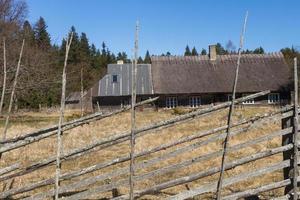 primavera visualizzazioni a partire dal hiiumaa isola foto