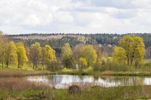 paesaggi a partire dal il Lituania campagna nel primavera foto