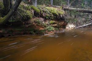 piccolo foresta fiume nel presto primavera foto