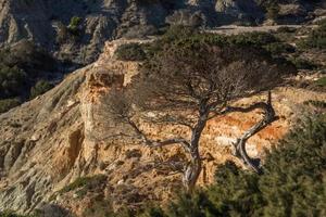 vita stile nel Grecia isole foto