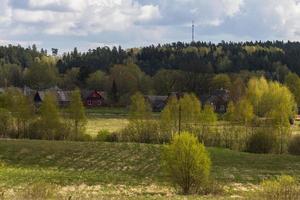 paesaggi a partire dal il lituano campagna nel primavera foto