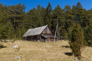 primavera visualizzazioni a partire dal hiiumaa isola foto