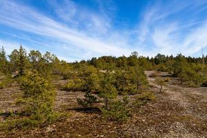 primavera paesaggi su il isola di hiiumaa foto