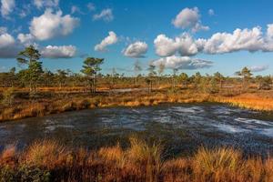 autunno giorno a il palude lago foto