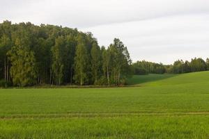 paesaggi a partire dal il lettone campagna nel primavera foto