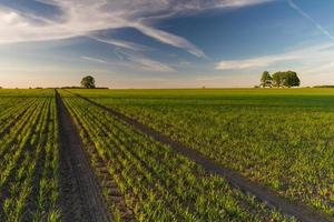 paesaggi a partire dal il lettone campagna nel primavera foto