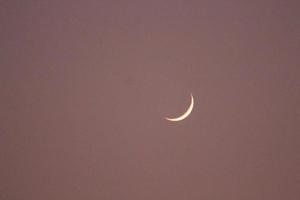 il bellissimo Luna nel il cielo. foto