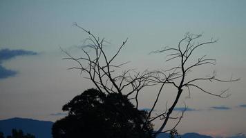 il bluetime Visualizza nel il campagna dopo tramonto foto