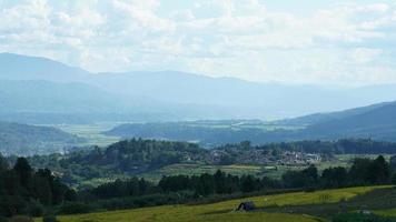 il raccolta giallo riso campo Visualizza collocato nel il valle tra il montagne con il nuvoloso cielo come sfondo foto