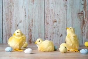 Pasqua saluto carta con giallo pollo circondato con bianco, giallo e blu uova. bandiera con posto per testo foto