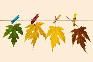 autunno colorato le foglie su un' corda come simbolo di tempo passaggio di foto