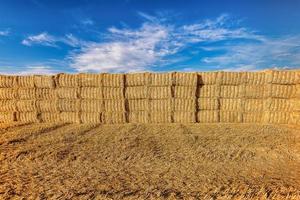 panoramico Visualizza di fieno balle su raccolto Grano campo nel provence contro drammatico blu cielo nel estate foto