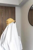 fantasma cucinando nel un' cucina, moderno cucina, fantasma bianca foglio, Messico latino America, Messico foto