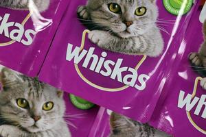 Kharkiv, Ucraina - febbraio 06, 2022 whisky marchiato gatto animale domestico cibo viola pacchi vicino su. whisky è un' globale marca di gatto cibo prodotta di il americano azienda Marte foto