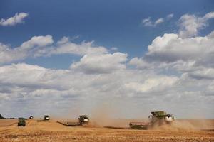 grande combinare mietitrici Lavorando nel agricolo campo a estate foto