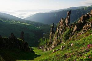 intatto natura. maestoso carpazi montagne. bellissimo paesaggio. mozzafiato Visualizza foto