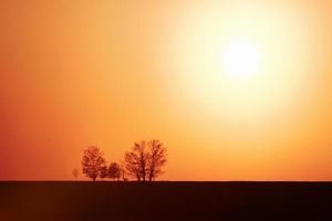 bellissimo paesaggio con campo illuminato di luce del sole. nel moravia foto