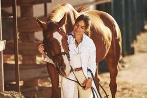 bellissimo luce del sole. femmina veterinario l'esame cavallo all'aperto a il azienda agricola a giorno foto