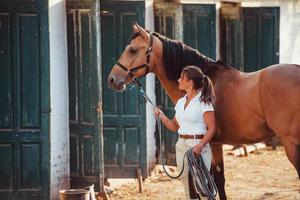 ottenere pronto per il giro. amazzone nel bianca uniforme con sua cavallo a azienda agricola. pronto per il cavalcata foto