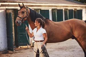 ottenere pronto per il giro. amazzone nel bianca uniforme con sua cavallo a azienda agricola. pronto per il cavalcata foto