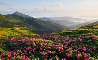 a campagna. maestoso carpazi montagne. bellissimo paesaggio. mozzafiato Visualizza foto