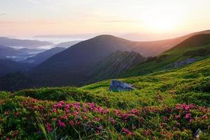 largo Visualizza. maestoso carpazi montagne. bellissimo paesaggio foto