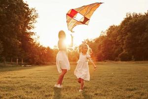 su corto erba. madre e figlia avere divertimento con aquilone nel il campo. bellissimo natura foto