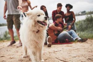 allegro carino cane. gruppo di persone avere picnic su il spiaggia. amici avere divertimento a fine settimana tempo foto