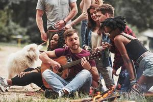 cane volere per festa anche. gruppo di persone avere picnic su il spiaggia. amici avere divertimento a fine settimana tempo foto