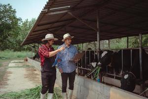 Due maschio contadino controllo su il suo bestiame e qualità di latte nel il latteria azienda agricola .agricoltura industria, agricoltura e animale allevamento concetto ,mucca su latteria azienda agricola mangiare fieno, stalla. foto