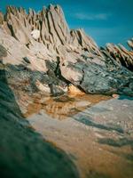 pozzanghera di acqua nel un' log su il spiaggia foto