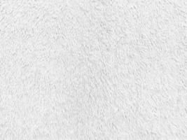 bianca pulito lana struttura sfondo. leggero naturale pecora lana vergine. bianca senza soluzione di continuità cotone. struttura di soffice pelliccia per designer. avvicinamento frammento bianca lana tappeto. foto