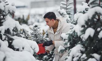 bello giovane uomo nel caldo cappotto Tenere rosso pentola con abete albero all'aperto a giorno foto