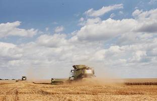 grande combinare mietitrici Lavorando nel agricolo campo a estate foto